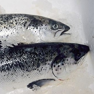 新發(fā)地三文魚案板檢測(cè)出新冠病毒，，北京多家超市連夜下架三文魚，北京新增三個(gè)病例